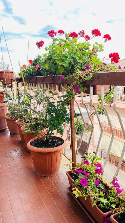 Oasi Di Serenita Marino Bagian luar foto