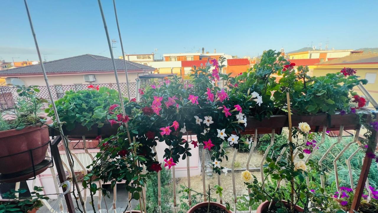 Oasi Di Serenita Marino Bagian luar foto